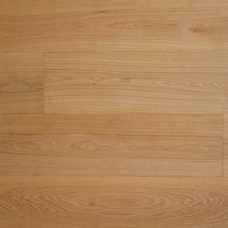 EICHE ELEGANZ XL